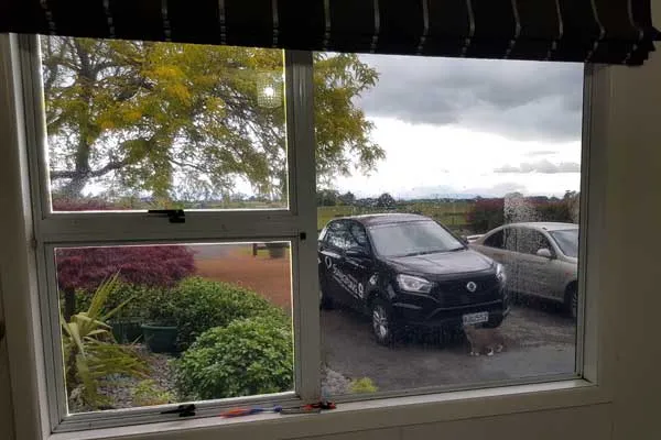 Home Tinting