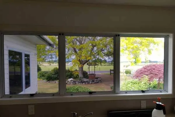 Home Window Tint