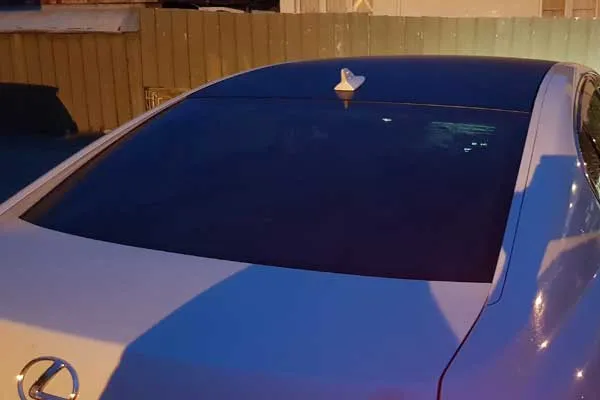 car-roof-wrapping